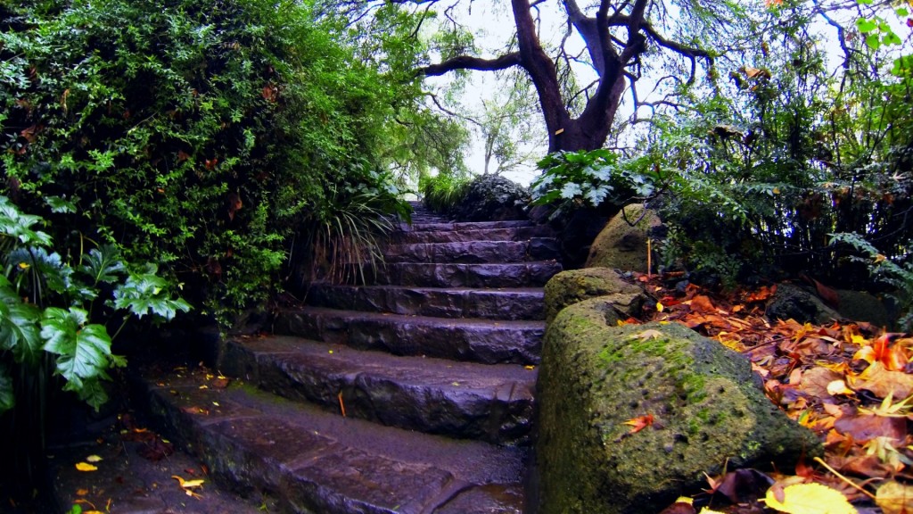 rock-stair-garden-autumn-falling-leaves